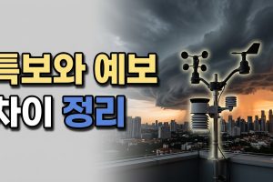 특보 vs 예보 — 헷갈리는 두 개념 정리