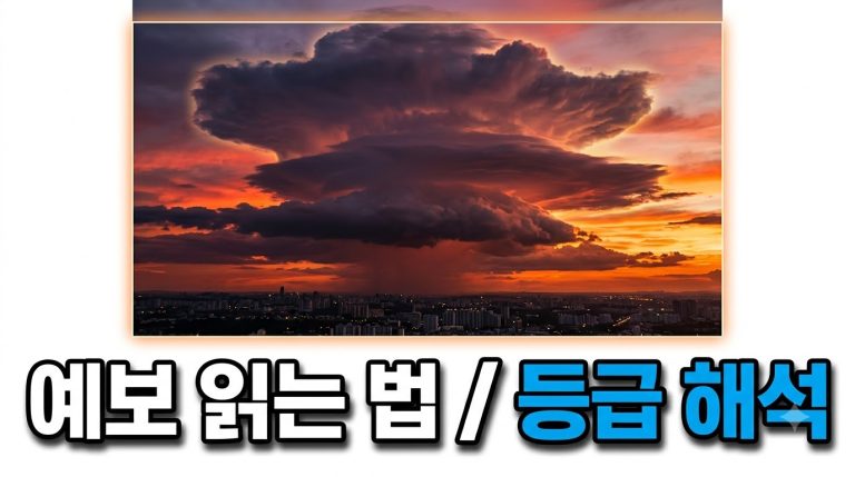예보 읽는 법 — 대기질 예보 종합