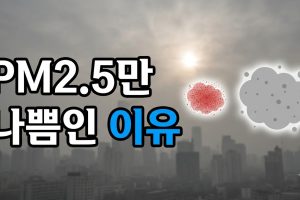 PM10은 보통인데 PM2.5만 나쁨인 날 — 무엇을 보고 판단하나