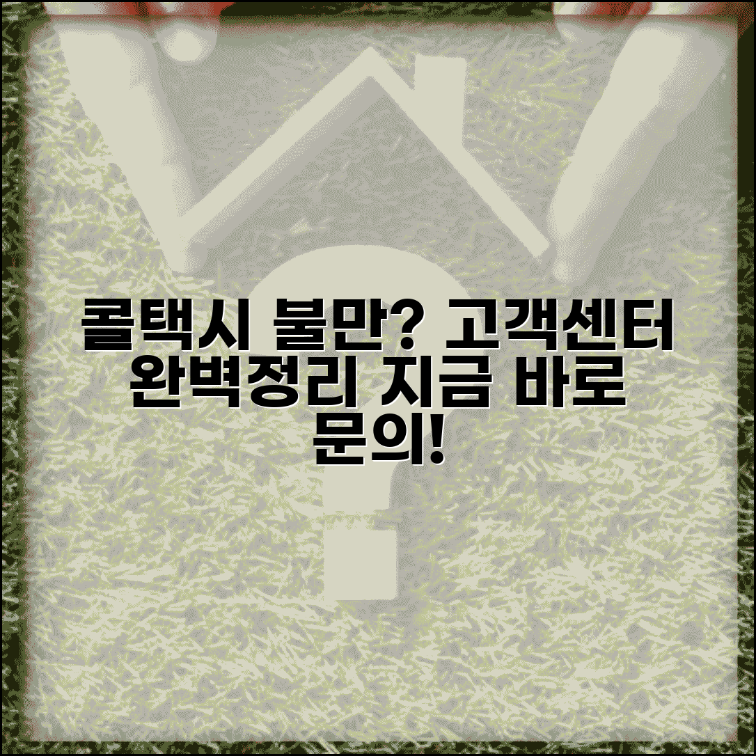 콜택시 고객센터 | 불만 접수 문의 완벽정리