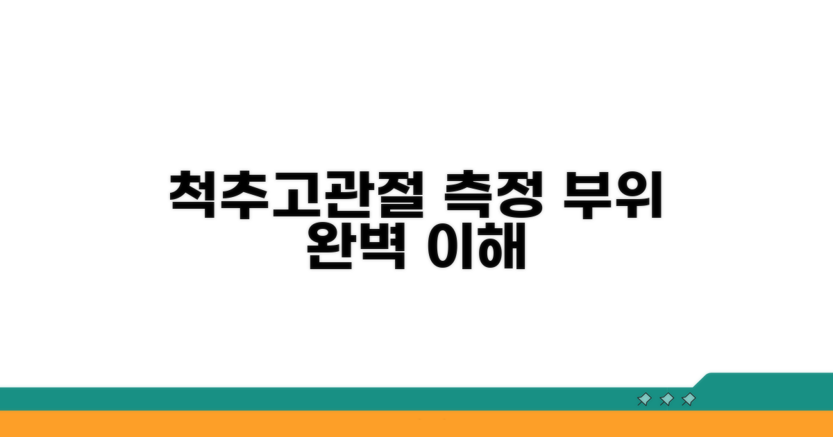 척추와 고관절 측정 부위별 이해