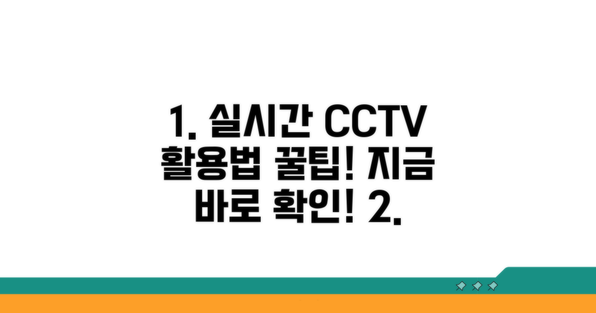 실시간 CCTV 이용법 완벽 가이드