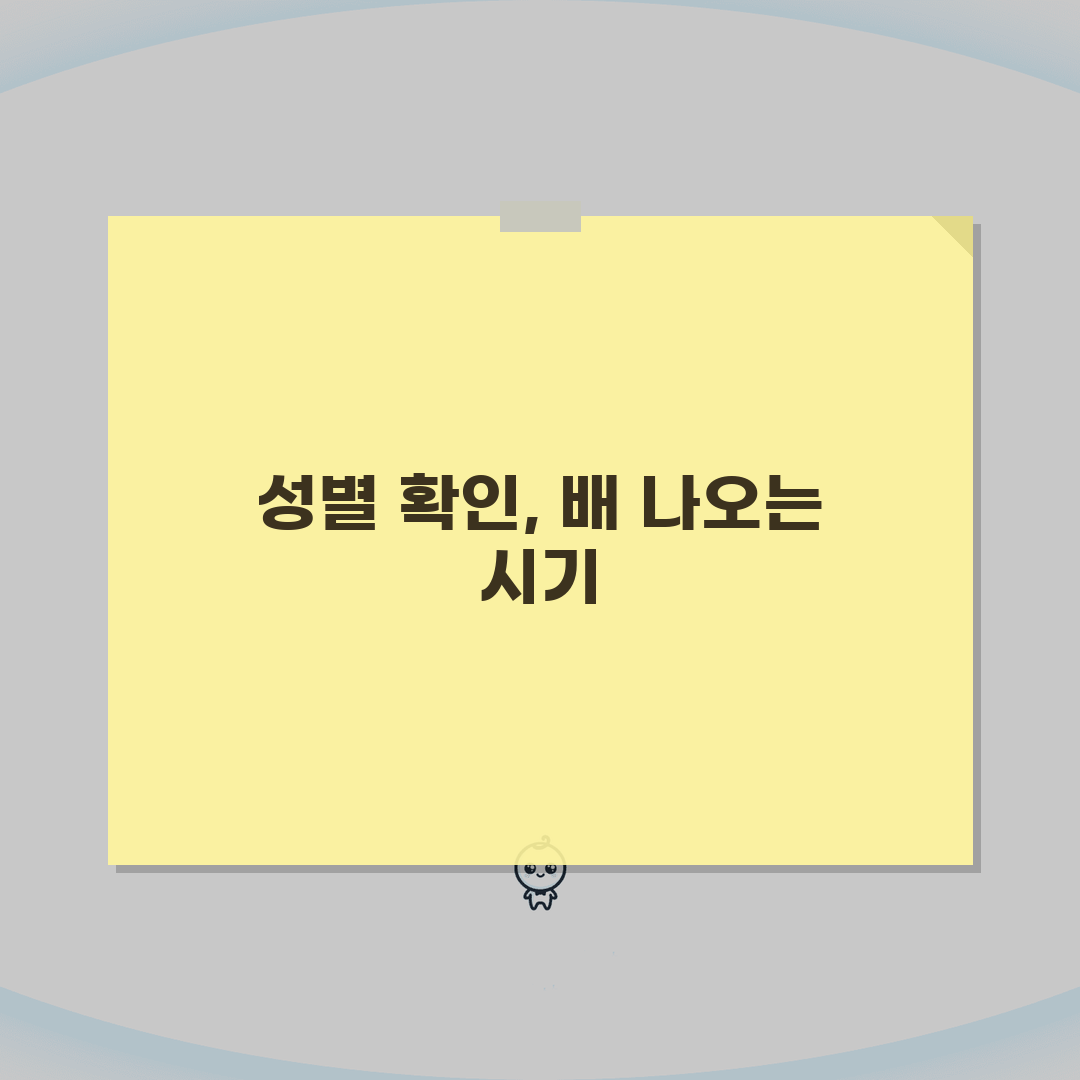 임신 17주~20주 성별 확인 시기 초음파 | 임신 5개월 배 나오는 시기 솔직후기, 직접