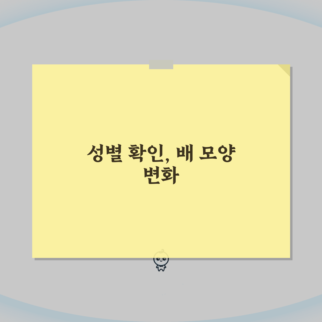 임신 17주~20주 성별 확인 시기 초음파 | 임신 5개월 배 나오는 시기 솔직후기, 직접