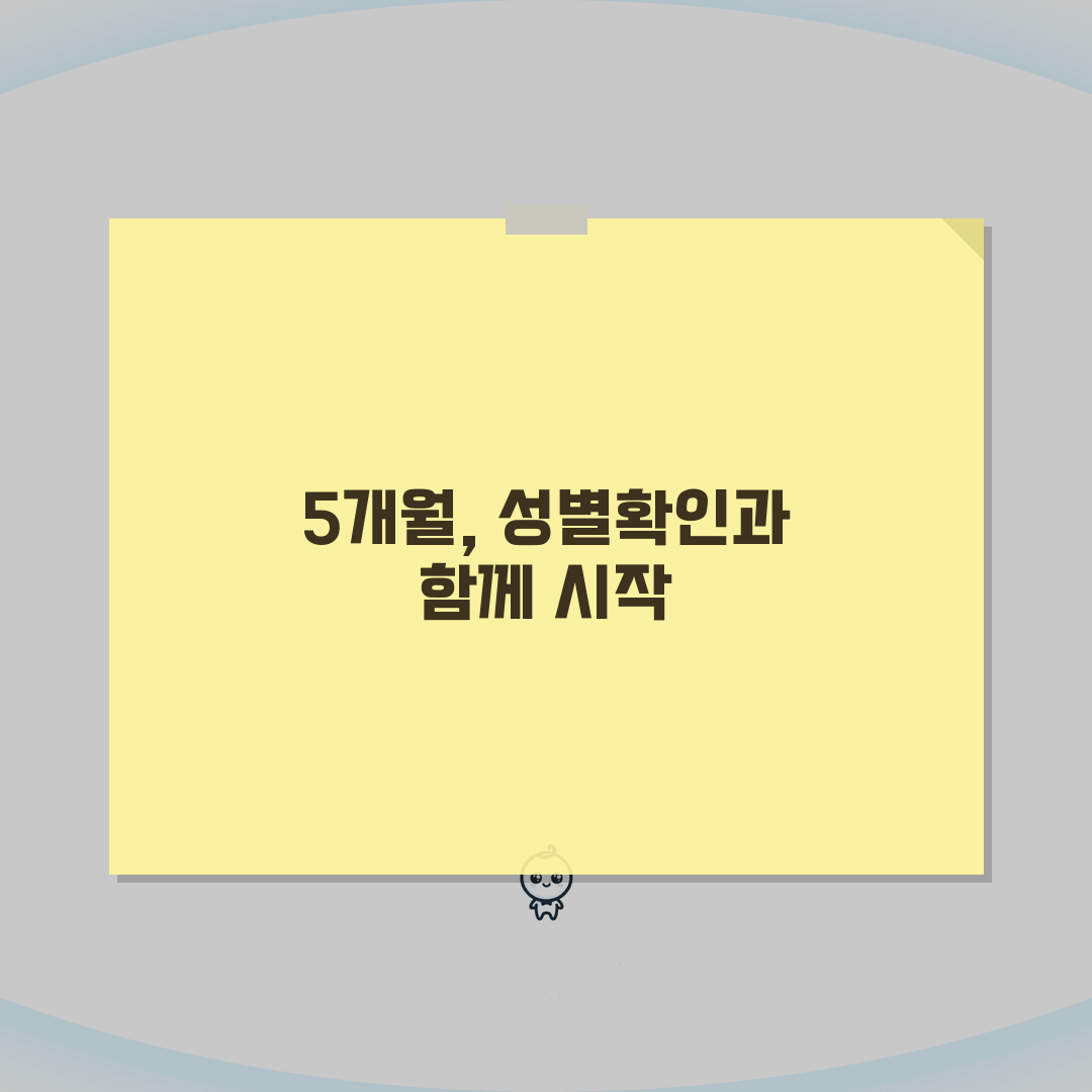 임신 17주~20주 성별 확인 시기 초음파 | 임신 5개월 배 나오는 시기 솔직후기, 직접